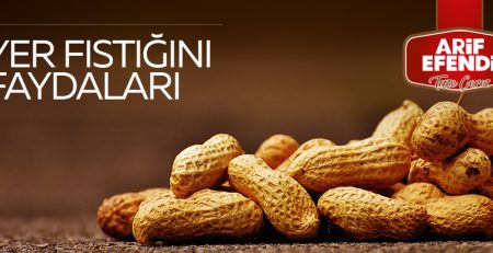 YER FISTIĞININ FAYDALARI
