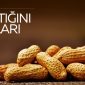 YER FISTIĞININ FAYDALARI